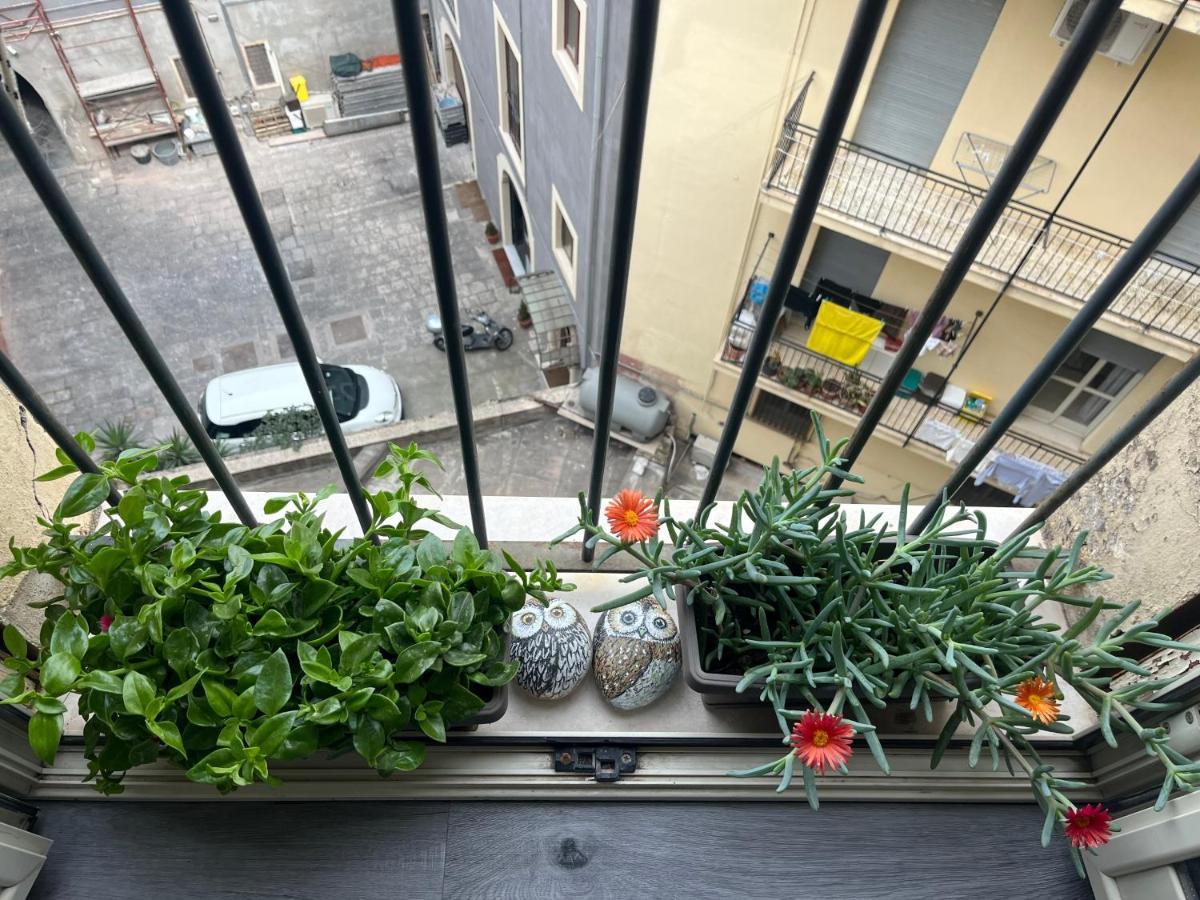 Appartamento La Terrazza Di Sant'Agata Aeroporto di Catania Fontana Rossa Esterno foto